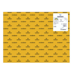 CARTULINA CANSON GUARRO IRIS 30KG 50*65 CUERO 32 PTE/25U