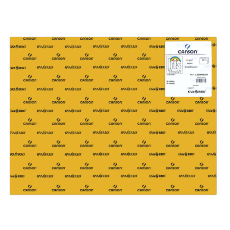 CARTULINA CANSON GUARRO IRIS 30KG 50*65 CUERO 32 PTE/25U