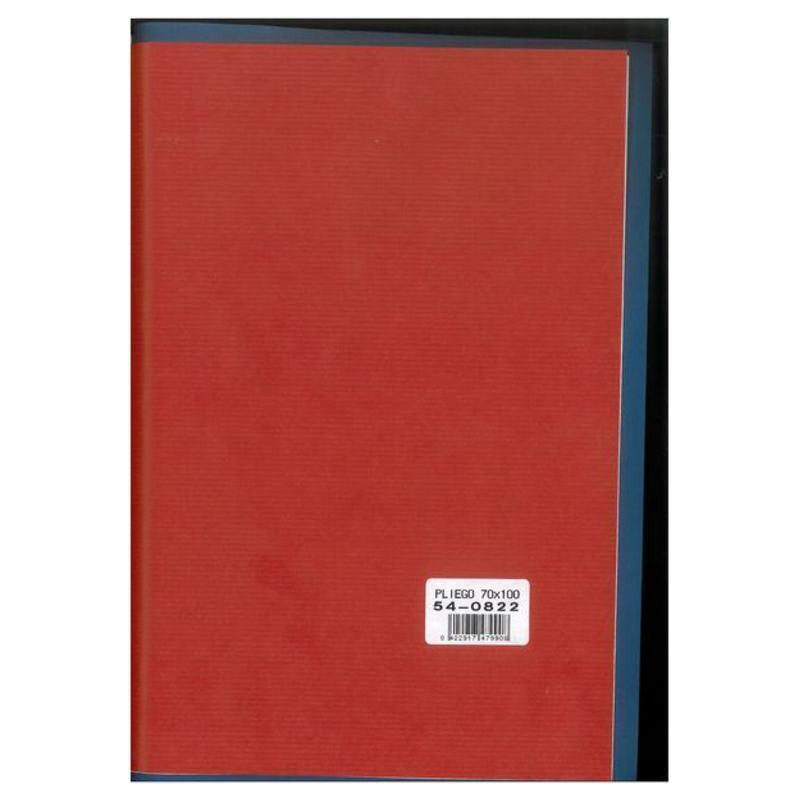 PAPEL REGALO 70*100 MANO 25H 54-0822