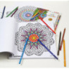 JUEGO ALPINO COLOR 24 LAPICES + 120 MANDALAS AL00250