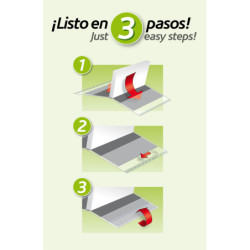 FORRO LIBRO Nº 31 SADIPAL PTE 100U ^