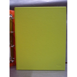 CARPETA PLAST. 4A 40MM FL REDONDA SARO PISTACHO 2424/G ^