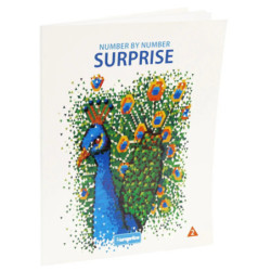 CUADERNO PINTACOLOR EUROPRICE NUMBER BY NUMBER SURPRISE 1-2-3-4 PIA-3975 4MOD