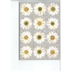 ESTRELLA POLIESPAN 200MM UNIDAD GRAFOPLAS 68007800