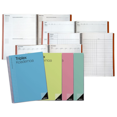 CUADERNO PROFESORADO: TRIPLEX - EVALUACION+AGENDA+TUTORIA EUSKERA ADDITIO P193