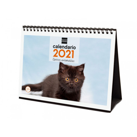CALENDARIO ANUAL FINOCAM21 SOBREMESA 2021 GATITOS+ 780323821