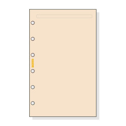 AGENDA RECAMBIO FINOCAM 603 LISO COLOR C343