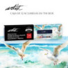 ACUARELAS EN ESTUCHE METAL ALEX BOG 12 COLORES TINBOX PROFESSIONAL AB-0453