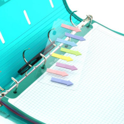 FLECHAS INDEX 160 U BLUSH OFFICE BOX BLUSH 16005 BLISTER UNIDAD