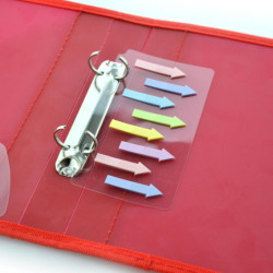 FLECHAS INDEX 160 U BLUSH OFFICE BOX BLUSH 16005 BLISTER UNIDAD