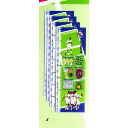 POSTER GUIA METRICA PRYSE REAL MADRID 70*24 SURTIDA 6600111 ^