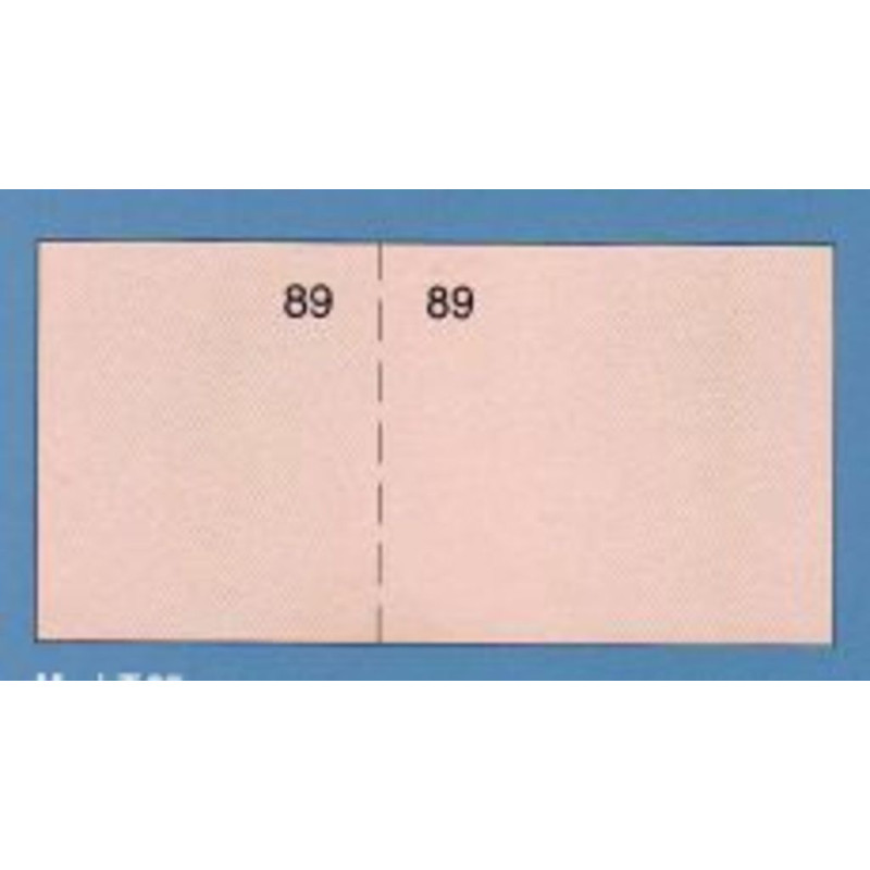 TAL. LOAN CAJA T-25 BLANCO PTE 20U
