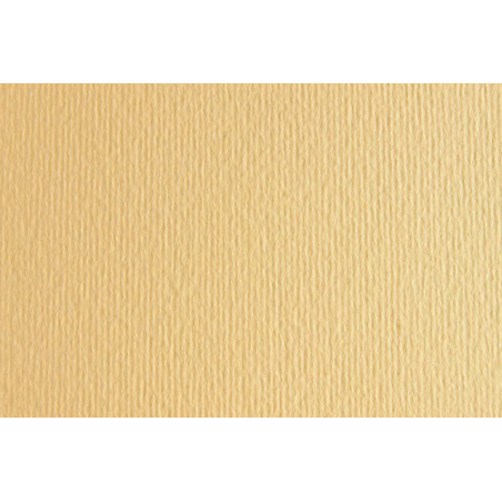 CARTULINA LR -LISO/RUGOSO 50X70CM 220G PIEL 20HJ SADIPAL