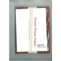 TARJETA OLINO A-5 15*21 HECHO A MANO PAPEL C/SEMILLAS MARFIL C/SOBRE ROJO PTE/10U ^