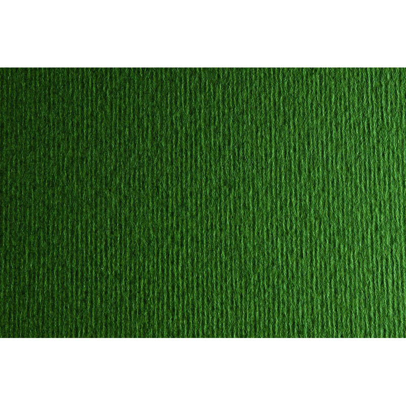 CARTULINA LR -LISO/RUGOSO 50X70CM 220G VD.OSCURO 20HJ SADIPAL
