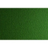 CARTULINA LR -LISO/RUGOSO 50X70CM 220G VD.OSCURO 20HJ SADIPAL