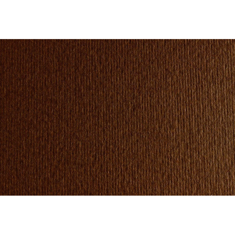 CARTULINA LR -LISO/RUGOSO 50X70CM 220G MARRON 20HJ SADIPAL