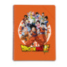 CARPETA ESCAPARATE DEC A4 30 FUNDAS ERIK DRAGONBALL CFA406
