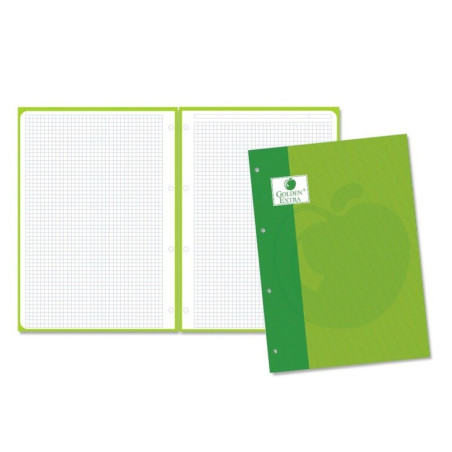 RECAMBIO GOLDEN SCHOOL EUROPEAN A-4  80H 5*5 VERDE POESSA 323832