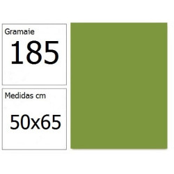 CARTULINA IRIS 50X65 185G VD.ABETO 25H.