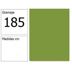 CARTULINA IRIS 50X65 185G VD.SAFARI 25H.