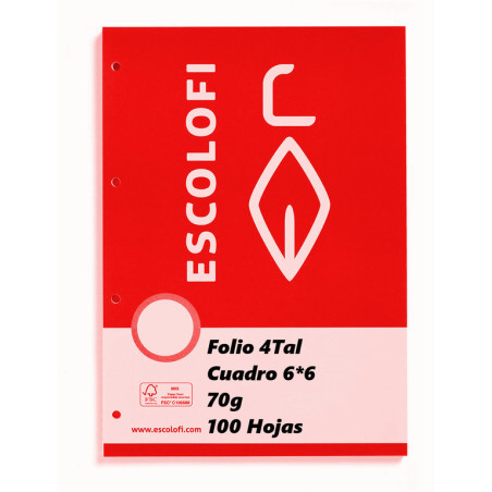 RECAMBIO ESCOLOFI FOLIO  4TAL 100H CUADROS 6*6 110038504