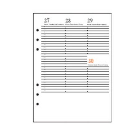 RECAMBIO ANUALIDAD AGENDA INTEGRAL PLUS 155*213 SEMANA VISTA VERTICAL MR19 24041