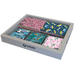 EXPOSITOR CUADERNOS A6 Y A7 DISEÑO 70975934 GRAFOPLAS25 1U