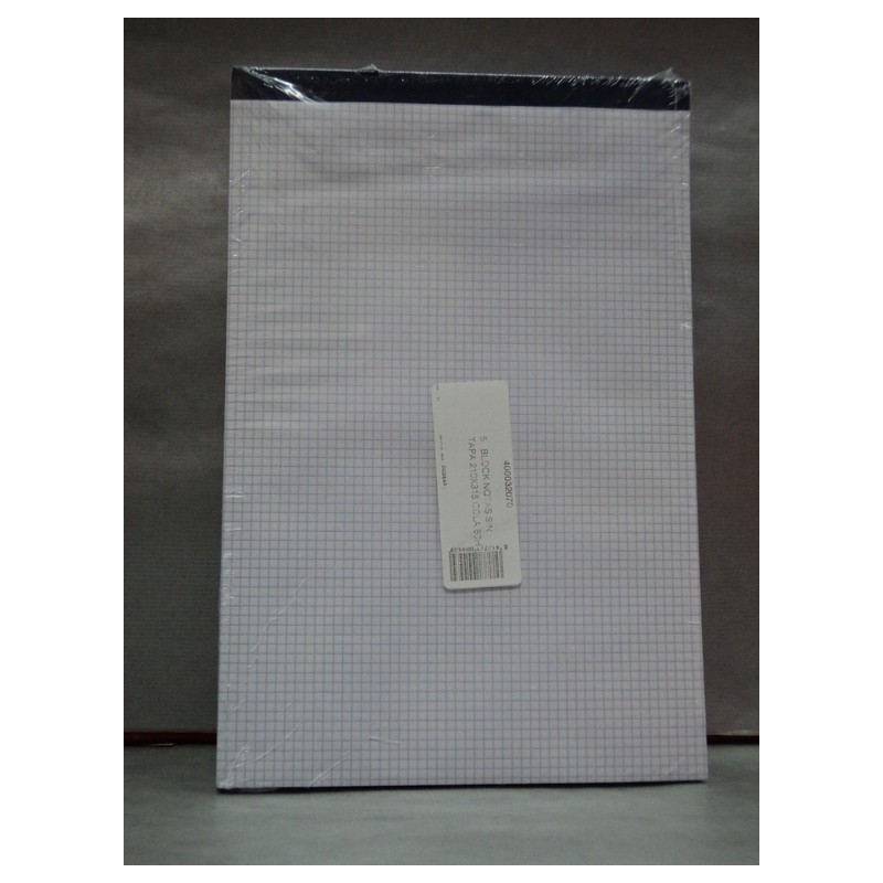 BLOC NOTAS GRAPADO  FL LISO SIN TAPA PTE 5U