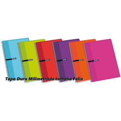 CUADERNO TD FL 80H ENRI MILIMETRADO SURTIDO