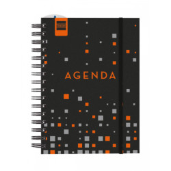 AGENDA ESCOLAR FINOCAM24 INSTITUT 4º SVV 24-25 PIXEL+ 532221825