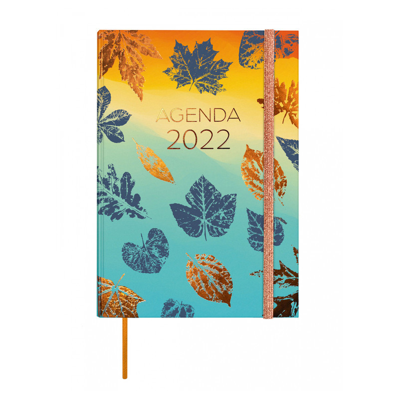 AGENDA ENCUADERNADA ANUAL BERLIN Y10 SV 2022 HOJAS+ FINOCAM22 624001222