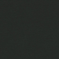 CARTULINA CANSON GUARRO IRIS A-4 NEGRO 38 185G PTE 50U 200040179