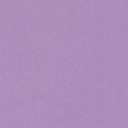 CARTULINA CANSON GUARRO IRIS A-3 LILA 17 PTE 50U C200040196