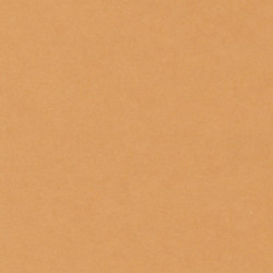 CARTULINA CANSON GUARRO IRIS 30KG 50*65 CUERO 32 PTE/25U