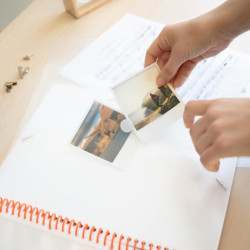 CARPETA ESCAPARATE DEC A4 30 FUNDAS ERIK DRAGONBALL CFA406