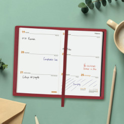 AGENDA ANUAL FINOCAM24 IBIS PL3 SVH ROJO PL3 82*127 356603024