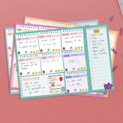 PLANIFICADOR ESCOLAR FINOCAM22 PLANIFICADOR TALKUAL SEM.NO-FECH.A4 PERS+ A4 - 210X297 7863000