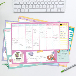 PLANIFICADOR ESCOLAR FINOCAM22 PLANIFICADOR TALKUAL SEM.NO-FECH.A4 PRO+ A4 - 210X297 7863100