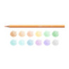 LAPIZ CARIOCA PASTEL MADERA 12 COLORES 43034