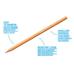 LAPIZ CARIOCA PASTEL MADERA 24 COLORES 43310