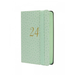 AGENDA ANUAL FINOCAM24 JOY F2 1DP 2024 CONFETI+ F2 82*127  883560124