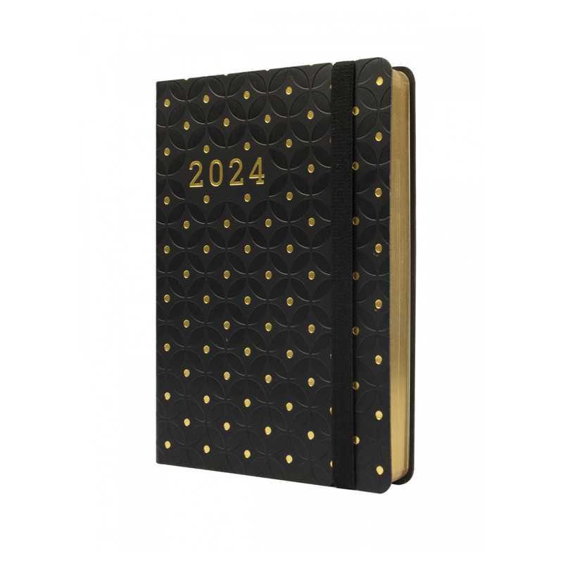 AGENDA ANUAL FINOCAM24 JOY F4 1DP 2024 DOTTS+ F4 118*168 883580024