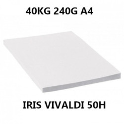 CARTULINA CANSON GUARRO IRIS A-4 BLANCA 01 240G 40KG PTE 50U 200040778