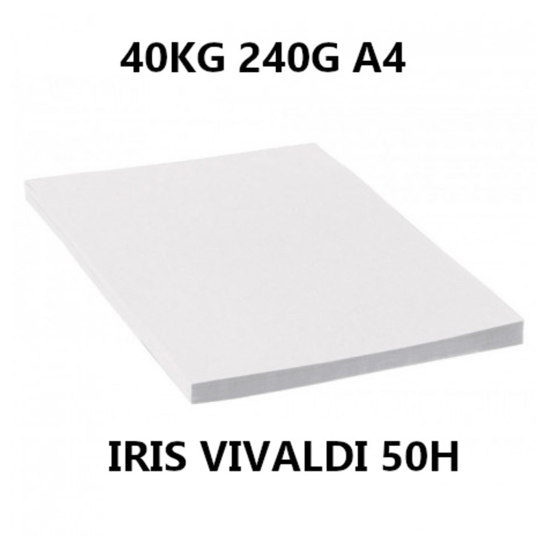 CARTULINA CANSON GUARRO IRIS A-4 BLANCA 01 240G 40KG PTE 50U 200040778