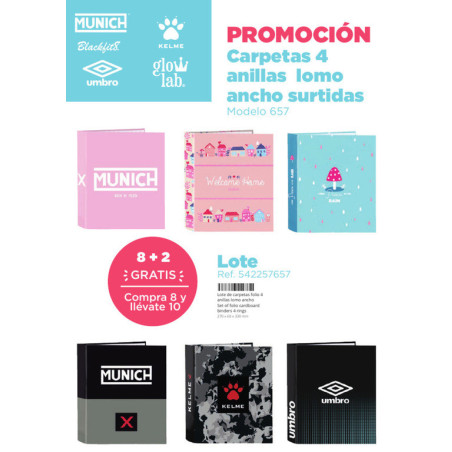 LOTE CARPETA F. 4 ANILLAS LOMO ANCHO SURTIDAS SAFTA22 VAC 542257657