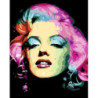 PINTAR POR NUMEROS ICONIC MARILYN ALEX BOG SG-2494