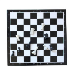 JUEGO AJEDREZ EUROPRICE CAJA CARTON 36CM JO4713