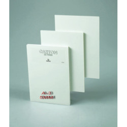 CARTON PLUMA ADHESIVO 70*100 5MM YOSAN