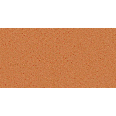 CARTULINA CANSON MI-TEINTES A-4 160G 384 SALMON PTE 50H